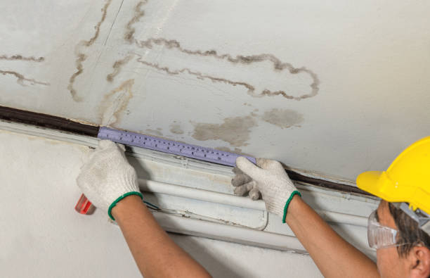 Reliable Mold Remediation contractor in West, TX by Water Damage Irwin